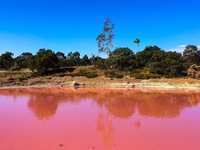 Bí ẩn hồ nước ở Australia bỗng biến thành màu hồng
