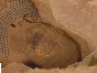 Truyền hình trực tiếp mở quan tài xác ướp 2.500 năm tại Ai Cập
