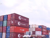 Đề xuất 2 phương án xử lý container phế liệu tồn đọng tại cảng biển