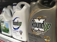 Monsanto 'dính' bê bối truyền thông