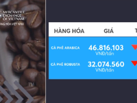 Giá cà phê Robusta và Arabica tiếp tục giảm