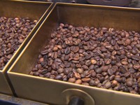 Truy xuất nguồn gốc cà phê qua mã số vùng trồng