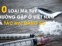 [Infographic] 10 loại ma túy thường gặp ở Việt Nam và tác hại đáng sợ