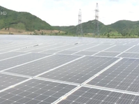 Nhà máy điện mặt trời đầu tiên ở Phú Yên đi vào hoạt động