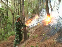 Cháy rừng liên tiếp ở Phú Yên, Nghệ An và Hà Tĩnh
