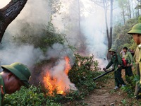 Cháy rừng ở miền Trung vẫn còn diễn biến phức tạp