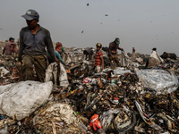 Báo động núi rác tại New Delhi (Ấn Độ) sắp cao hơn 70m