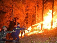 Cháy rừng ở Nghi Xuân, Hà Tĩnh do đốt rác