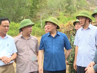 Phó Thủ tướng Vương Đình Huệ thị sát chữa cháy rừng ở Đức Thọ, Hà Tĩnh
