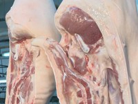 Giá thịt lợn trên thế giới đang tăng, không riêng Việt Nam
