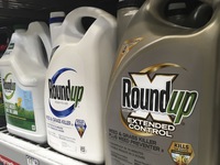 Monsanto tiếp tục đối mặt phán quyết yêu cầu bồi thường