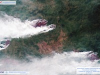 Cháy rừng tiếp tục lan rộng tại Siberia