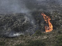 Hy Lạp ra cảnh báo đỏ về nguy cơ cháy rừng trên toàn quốc
