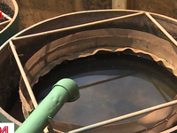 Hàng nghìn hộ dân Thạch Thất dùng nước bẩn từ nhà máy nước sạch