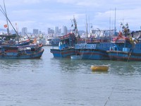 Hàng loạt tàu cá nằm bờ Nam Trung Bộ