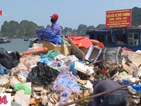 Ám ảnh rác thải nhựa tại vịnh Hạ Long