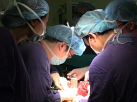 Kỷ lục, 1 tuần bác sĩ Bệnh viện Việt Đức thực hiện thành công 15 ca ghép tạng