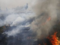 Indonesia nỗ lực chống cháy rừng