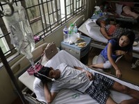 Philippines: Hơn 800 người tử vong vì sốt xuất huyết