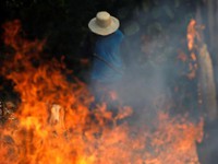 “Bà hỏa” thiêu đốt rừng Amazon: Lá phổi xanh của Trái đất kêu cứu