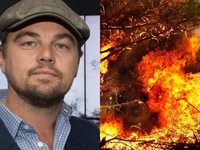 Leonardo DiCaprio hiến 5 triệu USD cứu rừng Amazon