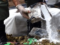 Colombia bắt 300kg ma túy giấu trong quan tài