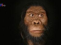 Hé lộ khuôn mặt lâu đời nhất của tổ tiên loài người