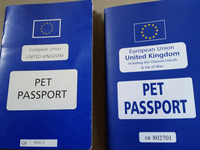Brexit và hộ chiếu cho thú cưng ở Anh