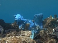“Rạn san hô nhựa' dưới biển Aegean ở Hy Lạp