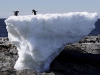 Greenland mất gần 200 tỷ tấn băng trong tháng nóng nhất lịch sử