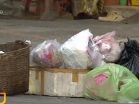 Phân loại rác tại nguồn - Kết quả chưa như mong đợi