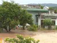 Đắk Lắk: Hàng trăm ngôi nhà bị chìm trong biển nước do mưa lớn