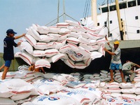 Xuất khẩu gạo Việt Nam trong tháng 7 đạt trên 4 triệu tấn