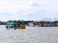 Cà Mau công khai hạn ngạch giấy phép khai thác thủy sản
