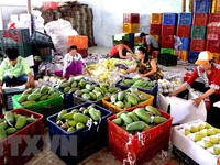 Giá trị xuất khẩu rau quả của Việt Nam 8 tháng qua giảm gần 6#phantram