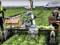 Robot thay thế lao động nông nghiệp tại Mỹ