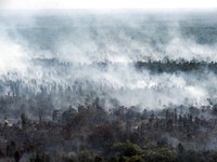 LHQ: Cháy rừng ở Indonesia đe dọa sức khỏe 10 triệu trẻ em Đông Nam Á