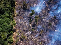 Các nước có rừng Amazon ký thỏa thuận phối hợp bảo vệ rừng