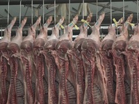 Giá thịt lợn tại Hà Nội có xu hướng giảm