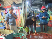 Chợ cá lớn nhất Hà Nội nhộn nhịp cận ngày lễ ông Công ông Táo