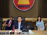 Vietnam chairs meeting of ASEAN-IPR Governing Council