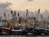 Anh công bố kế hoạch về quyền đánh bắt cá trong vùng biển thời hậu Brexit