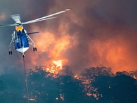 IBM hỗ trợ 1 triệu đô la Australia để khắc phục hậu quả thảm họa cháy rừng