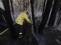 Khói bụi từ cháy rừng ở Australia lan sang Nam Mỹ