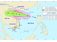 Bão số 7 có khả năng mạnh thêm, gây mưa rất to ở Bắc Bộ và Bắc Trung Bộ
