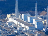 Nước thải từ nhà máy điện hạt nhân Fukushima có thể làm biến đổi ADN
