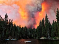 Cháy rừng tại bang California, nhiều người Mỹ gốc Việt phải sơ tán