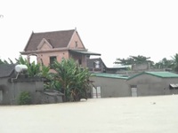 Mưa lớn nhấn chìm hàng trăm ngôi nhà tại Nghệ An