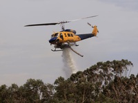 Cháy rừng lan rộng tại Australia do nắng nóng
