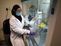 Singapore bắt đầu thử nghiệm giai đoạn cuối kháng thể chống virus SARS-CoV-2